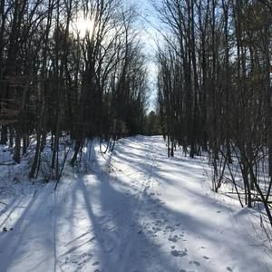 Meet your Posher, Sherry